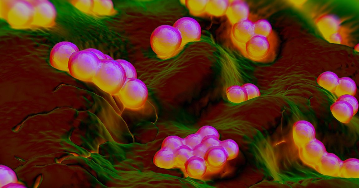 In order to kill antibiotic-resistant superbugs, scientists are gene-hacking viruses to target the bacteria and kill them from the inside.