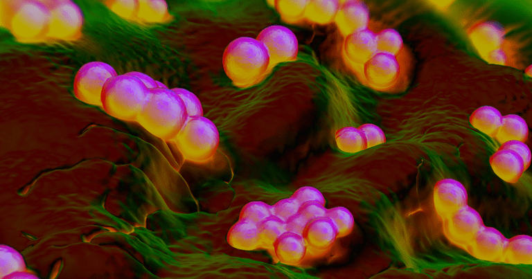 In order to kill antibiotic-resistant superbugs, scientists are gene-hacking viruses to target the bacteria and kill them from the inside.
