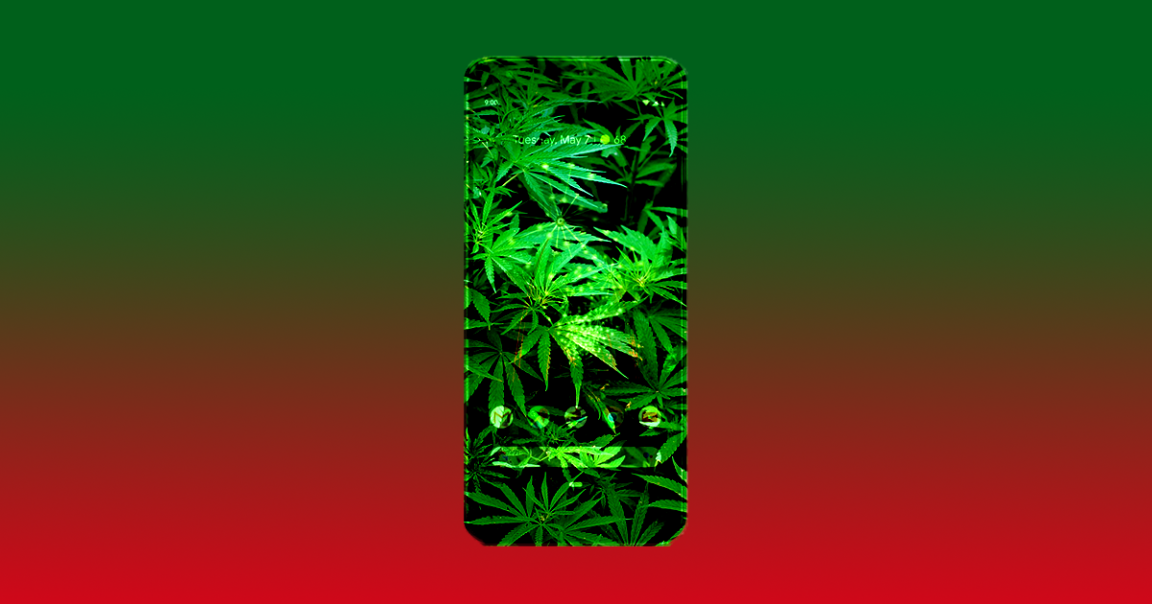 Google will ban any marijuana or THC products from being sold over apps available on its platform, likely in a bid to be more child-friendly.