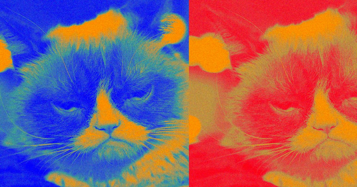 We could mourn Grumpy Cat. Or we could embrace the latest in genetic technology and clone her, like Barbra Streisand's dogs.