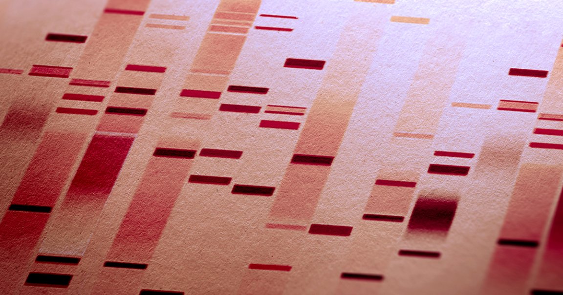 The Department of Homeland Security is going to start DNA testing people who cross into the U.S. seeking asylum next week.