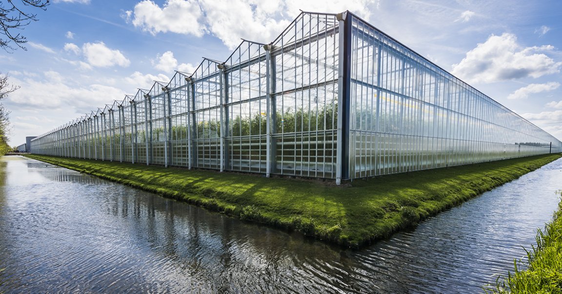 Hungary is planning on building a fully carbon-neutral town from the ground up in the northwest of the country to boost fruit and vegetable production.