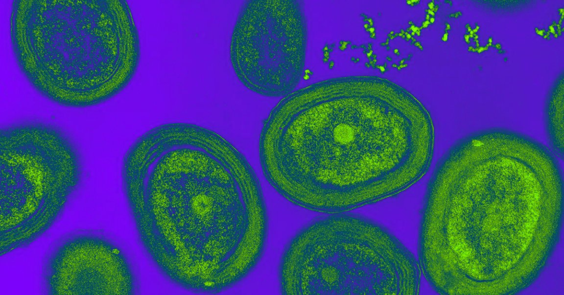 Plastic pollutants in the ocean can stunt the growth of a certain bacteria responsible for pumping the atmosphere full of oxygen, according to a new study.