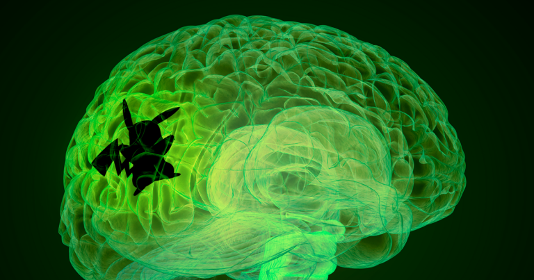 Brain scans of experienced Pokemon fans revealed a distinct region of the brain responsible for recognizing characters from the franchise.