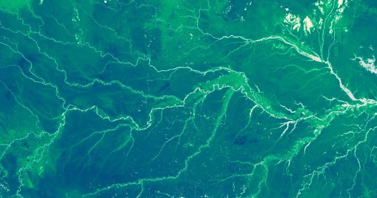 Dozens of newly-uncovered climate studies that were buried by Trump's USDA reveal how major foods like rice are becoming less nutritious.