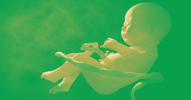 Those Gene-Hacked Babies May Be Doomed to Die Young