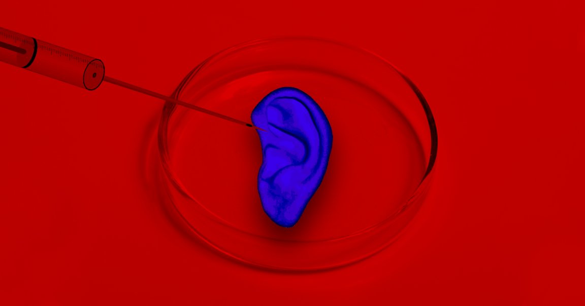 According to Chinese state-owned news media, a team of Chinese scientists developed "injectable cartilage" that can be used to repair human tissue.