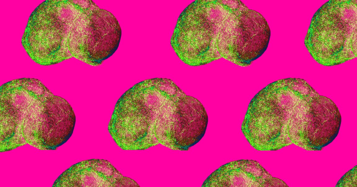 New lab-grown mini brains are the most advanced yet, spontaneously forming into neural circuits resembling the cerebral cortex and mirroring brain activity.