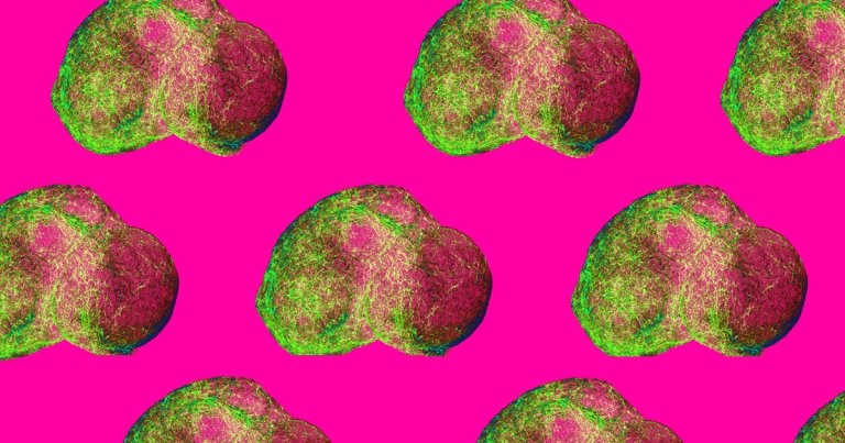 New lab-grown mini brains are the most advanced yet, spontaneously forming into neural circuits resembling the cerebral cortex and mirroring brain activity.
