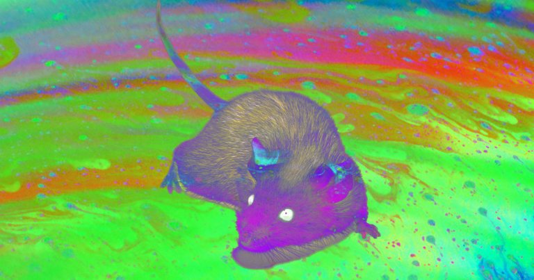 A new molecule latches onto uranium isotopes, making them easier for the kidneys to guide out of the bodies of people suffering from uranium poisoning.
