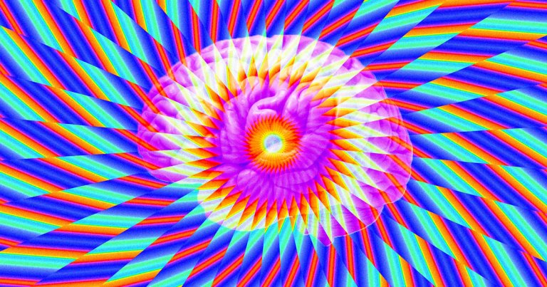 Researchers from the University of Michigan found widespread traces of naturally-occurring dimethyltryptamine (DMT) in the mammalian brain.