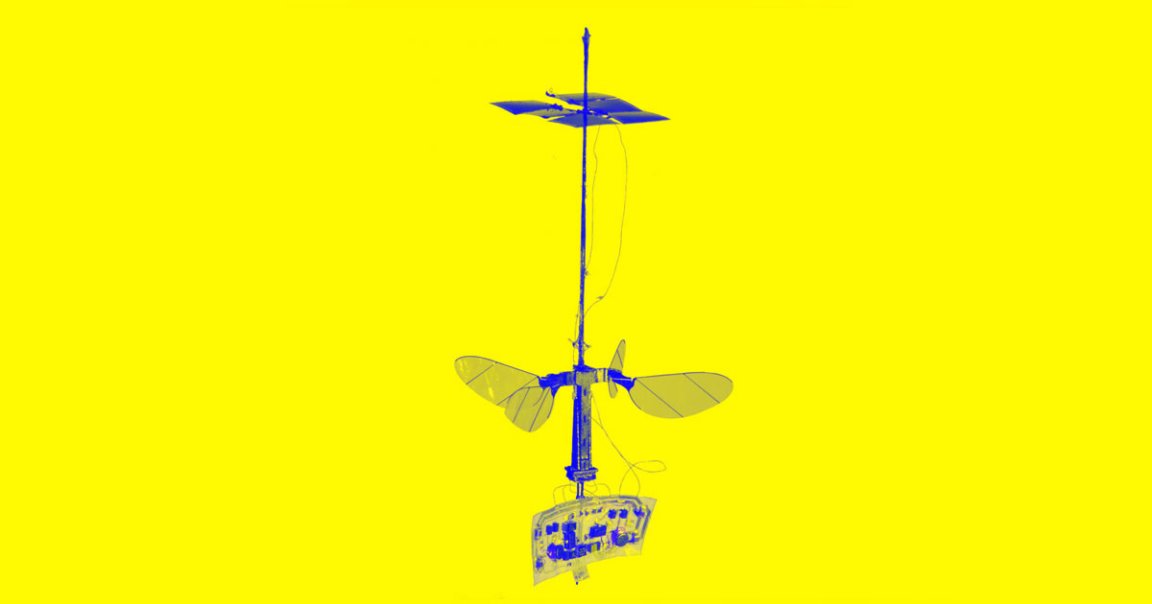 Harvard's RoboBee X-Wing takes the RoboBee to the next level by sporting solar cells and an extra pair of wings for more stable flight.