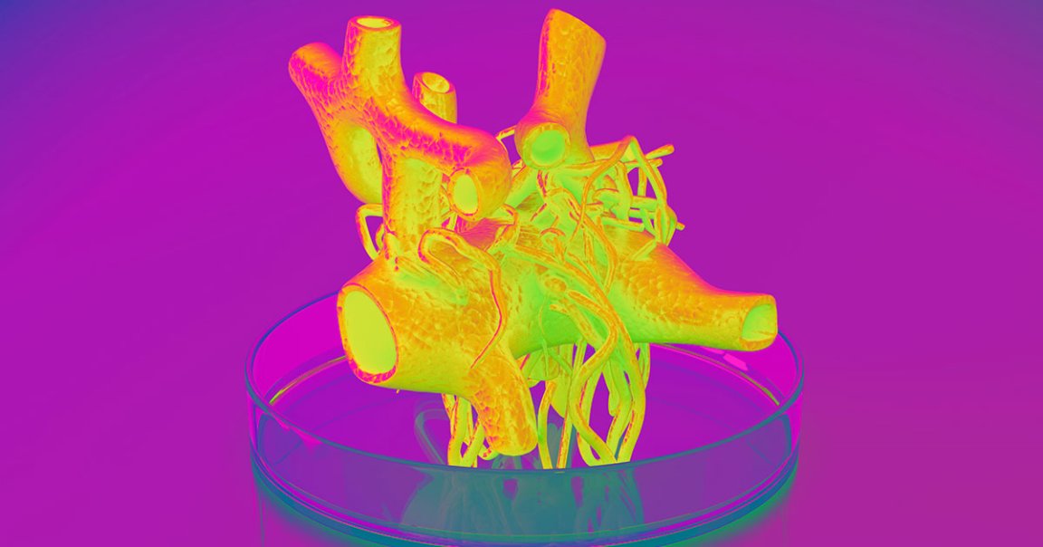 As the technology becomes cheaper and more common, surgeons may find themselves routinely practicing for an operation with 3D-printed organs.
