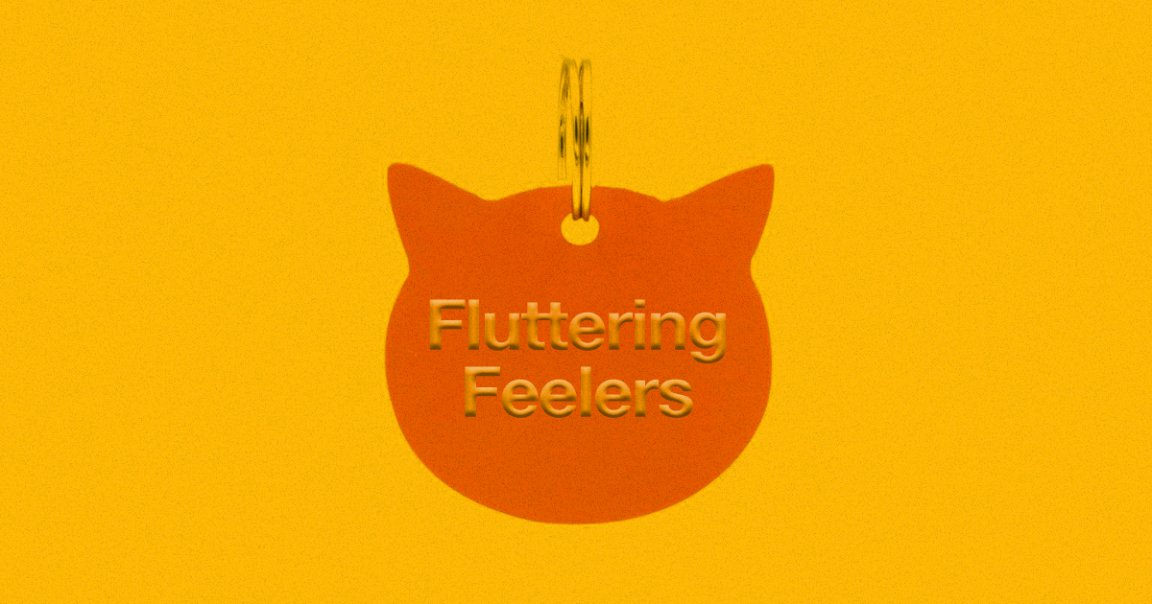 With the help from research scientist Janelle Shane, an animal refuge created a neural network that came up with a series of weird and cute cat names.