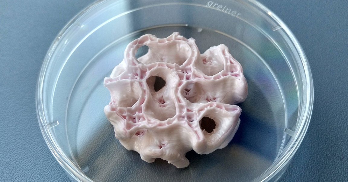 Scientists 3D printed skin and bone samples upside down to see if astronauts on Mars could use the technology in low-gravity environments.