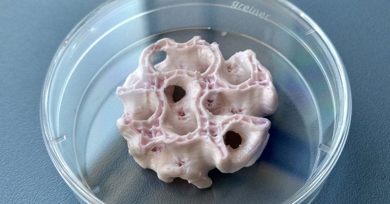 Scientists 3D printed skin and bone samples upside down to see if astronauts on Mars could use the technology in low-gravity environments.