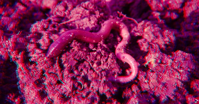 Researchers in Japan developed a tiny microchip valve that can be powered by a living cells and a naturally occuring chemical.