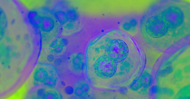 Russian biologist Denis Rebrikov says he's found five couples who want him to use CRISPR to ensure their offspring do not inherit their deafness.