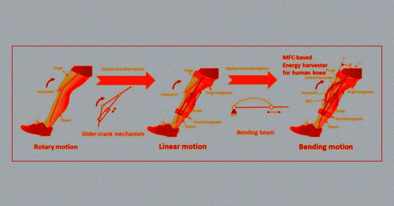 A new lightweight knee brace generates electricity as people walk around, potentially charging medical devices or wearables.