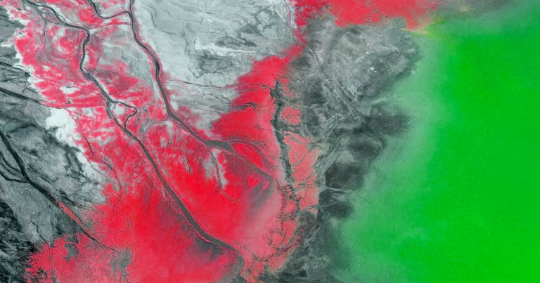 A letter signed by 24 prominent scientists called on the U.N. to declare wartime destruction of the environment a war crime.