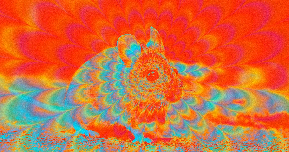 Scientists Made Mice Hallucinate by Shining Light Into Their Brains