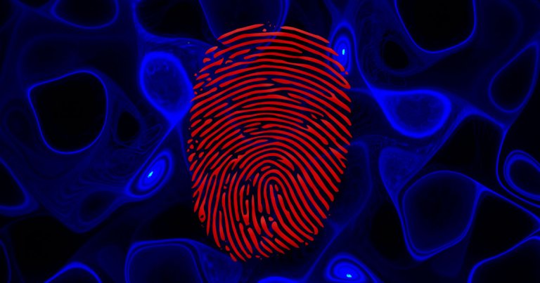 Scientists found out that tiny flaws in circuitry that disrupt the flow of electricity can act as a digital fingerprint for electronic devices.