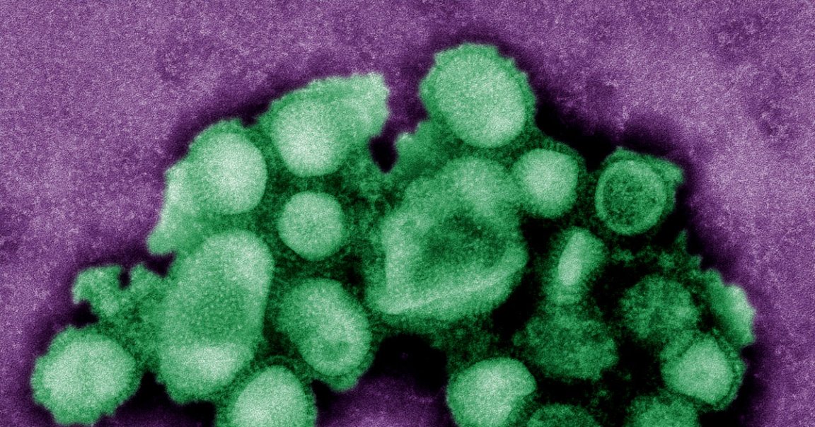 The first trial of a chlamydia vaccine in humans delivered promising results, with researchers already looking forward to the next steps.