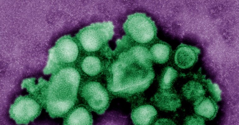 The first trial of a chlamydia vaccine in humans delivered promising results, with researchers already looking forward to the next steps.