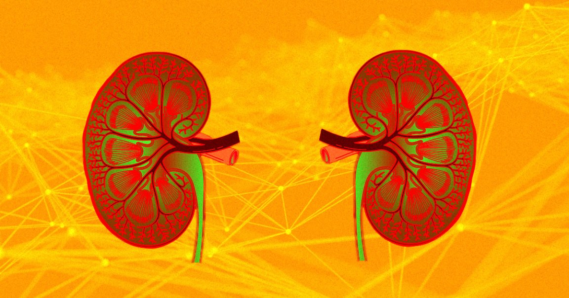 Researchers at DeepMind have found that their machine learning AI could alert medical health professionals of future kidney injury 48 hours early.