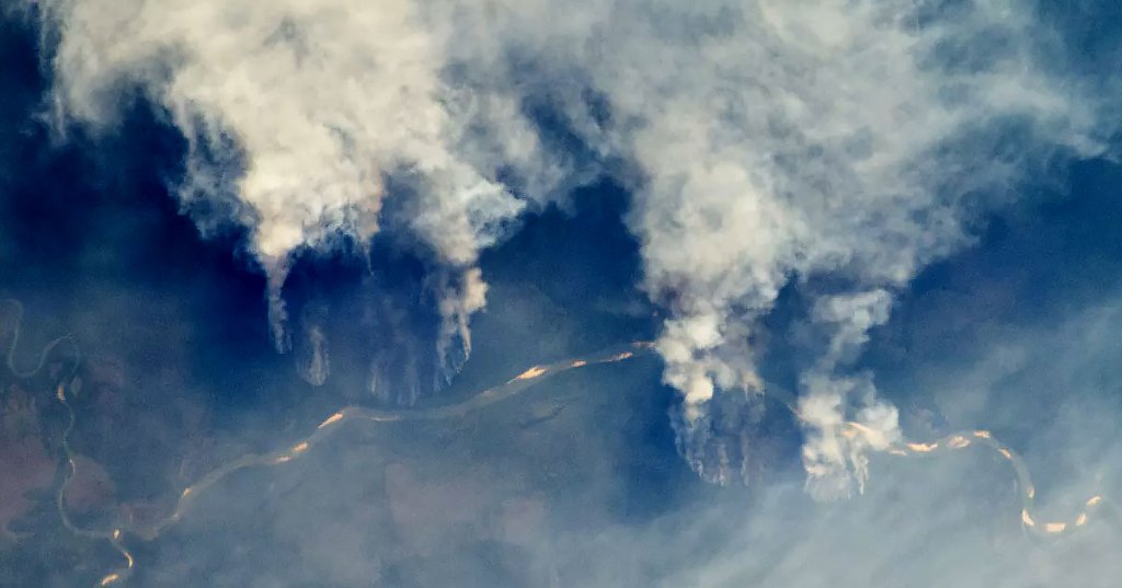 Devastating Fires in Amazon Rainforest Can Be Seen From Space