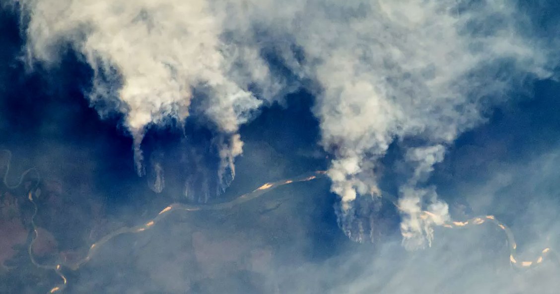 Devastating Fires in Amazon Rainforest Can Be Seen From Space