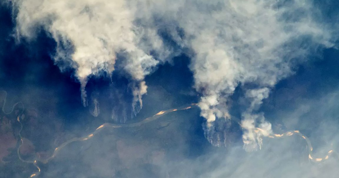 Bad news: record-breaking fires have been burning up Brazil's Amazon rainforest since January, an increase of over 83 percent since last year.
