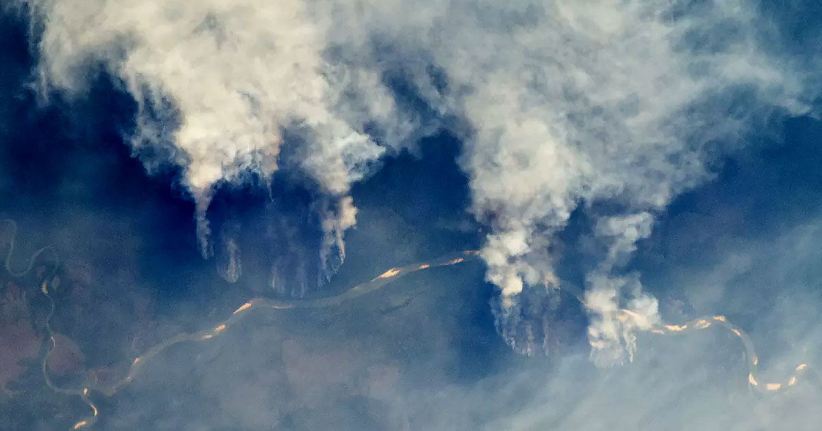 Bad news: record-breaking fires have been burning up Brazil's Amazon rainforest since January, an increase of over 83 percent since last year.