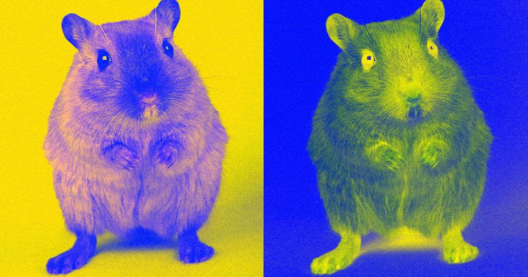 To help us detect deepfakes, researchers are training mice to listen for the kinds of speech irregularities that can crop up in faked audio.