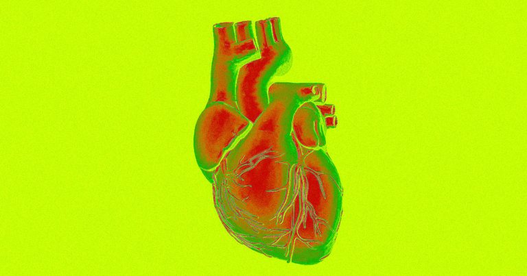 A team of researchers just 3D printed functional components of the human heart using a specialized printer that's capable of printing suspended hydrogels.
