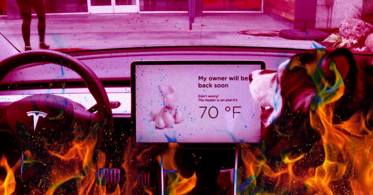 The Tesla Dog Mode feature has a serious flaw that is putting pets' lives in danger, but thankfully, the company is already working on a fix.
