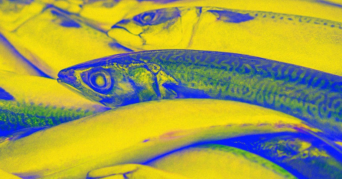 British fishmonger Rex Goldsmith found that Instagram was censoring his photos for featuring "offensive content" twice in two weeks.