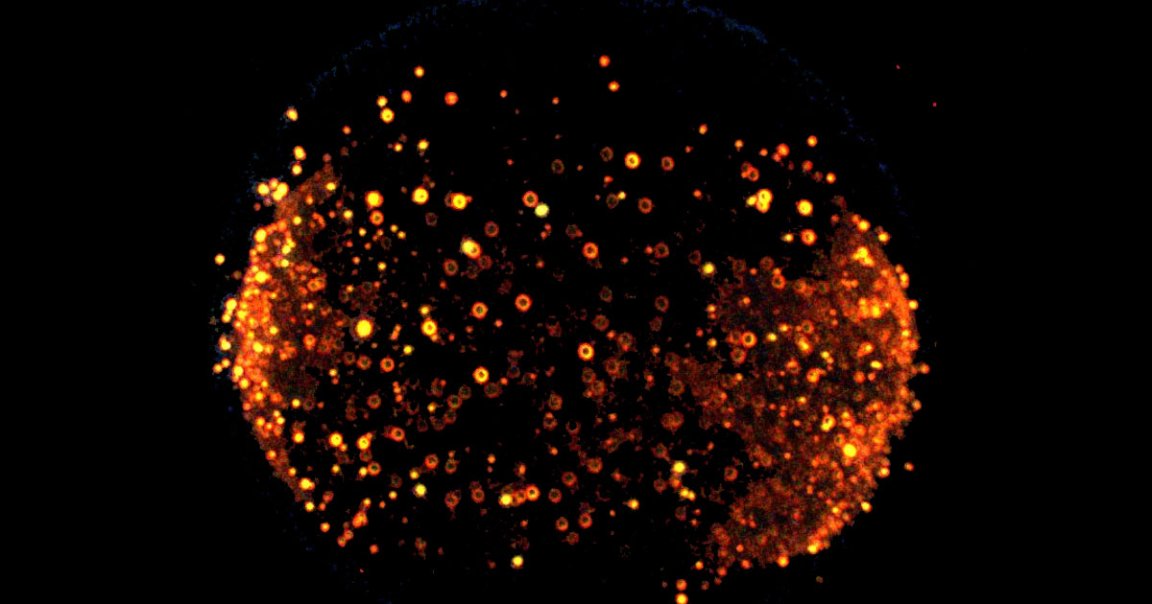 NASA scientists are starting fires in space to learn more about fuel combustion. They hope it can make engines more efficient here on Earth.