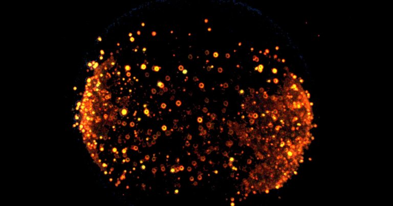 NASA scientists are starting fires in space to learn more about fuel combustion. They hope it can make engines more efficient here on Earth.