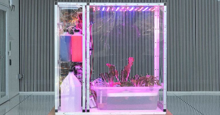 An MIT-funded robotic agriculture project that promised anybody the instant ability to successfully grow food is snake oil, according to Business Insider.
