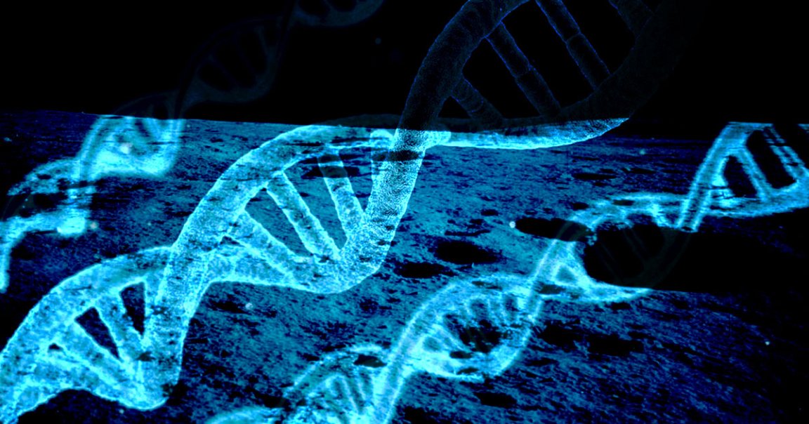 LifeShip will send your DNA to the Moon for $99 — a whimsical undertaking that could also ensure humanity lives on even if Earth becomes uninhabitable. 