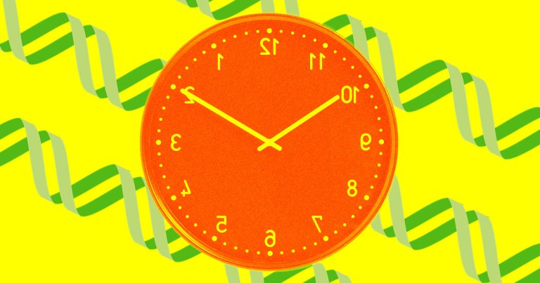 In a one year genetics study, scientists gave nine healthy men a cocktail of three drugs to see whether they would slow down the men's biological age clock.