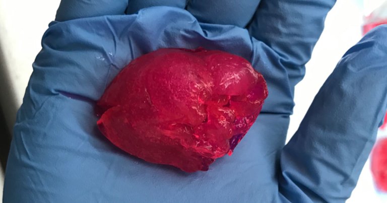 This Biotech Company Claims to Have 3D Printed a Mini Human Heart