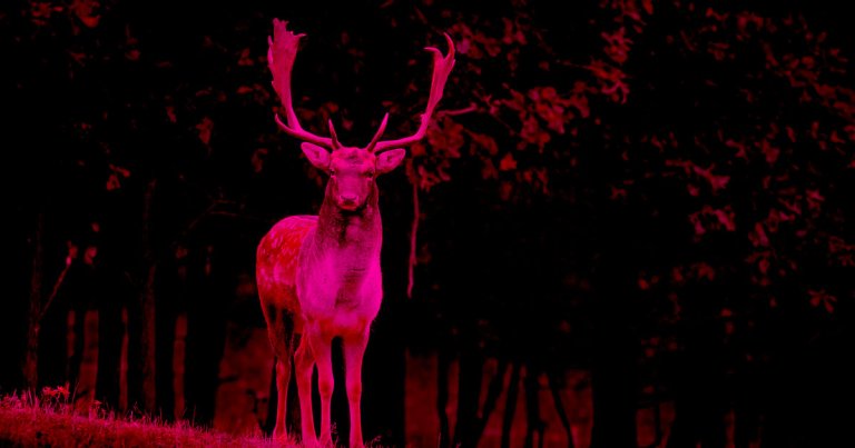 New warnings about "zombie deer disease" are sweeping the U.S., but according to one expert, it may already be too late to stop the spread to humans.