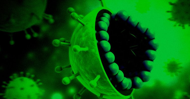 Watch the First Video of a Virus Growing in Real-Time