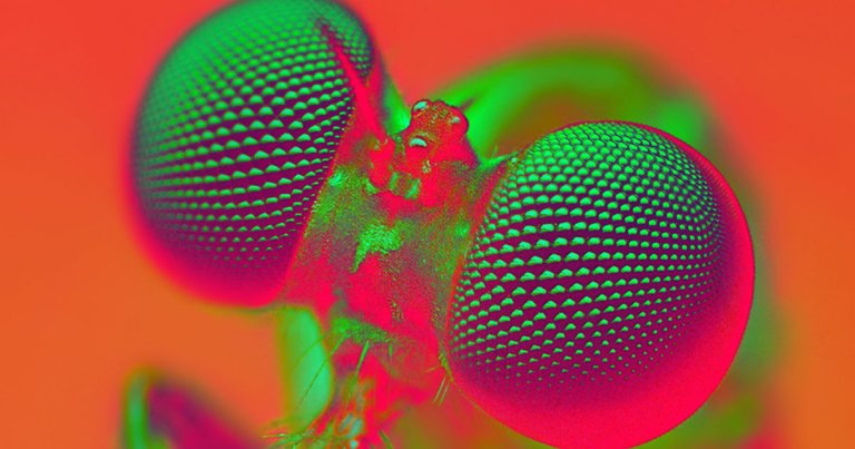Scientists are learning more and more ways to gene-hack new traits into animals, including genetic alterations that could enhance their intelligence.