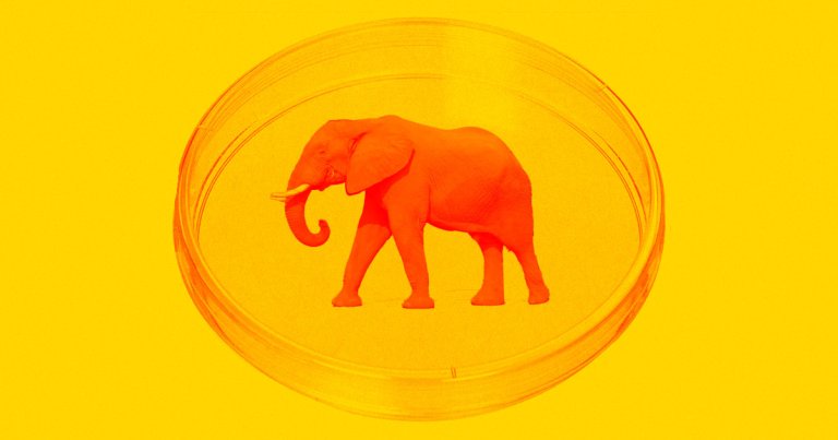 The companies developing lab-grown meat won’t stop at just beef and chicken — they’ll likely cultivate exotic meats, too.