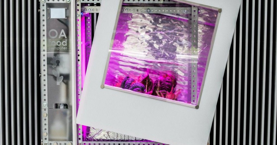 Those "personal food computers" from the MIT Media Lab that were supposed to help refugees grow crops on the move never worked, its creator's bold claims.