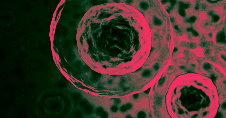 An international group of scientists is compiling a biological "atlas" of all the individual cells that make up the human body.