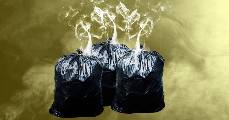 To find out what teens are smoking, two researchers collected trash from the grounds of 12 high schools over the course of eight months.